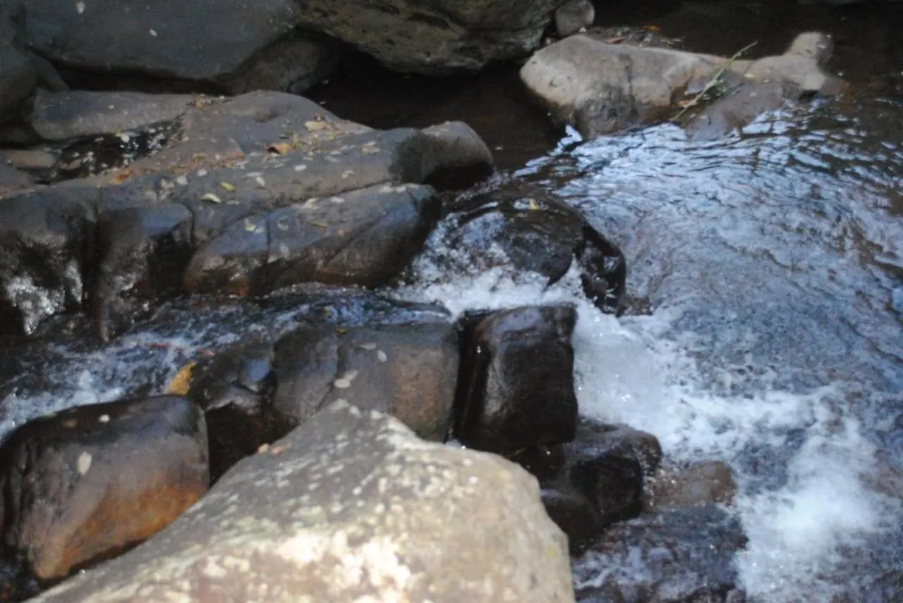 Cascade Holiday Villa Padinjarathara