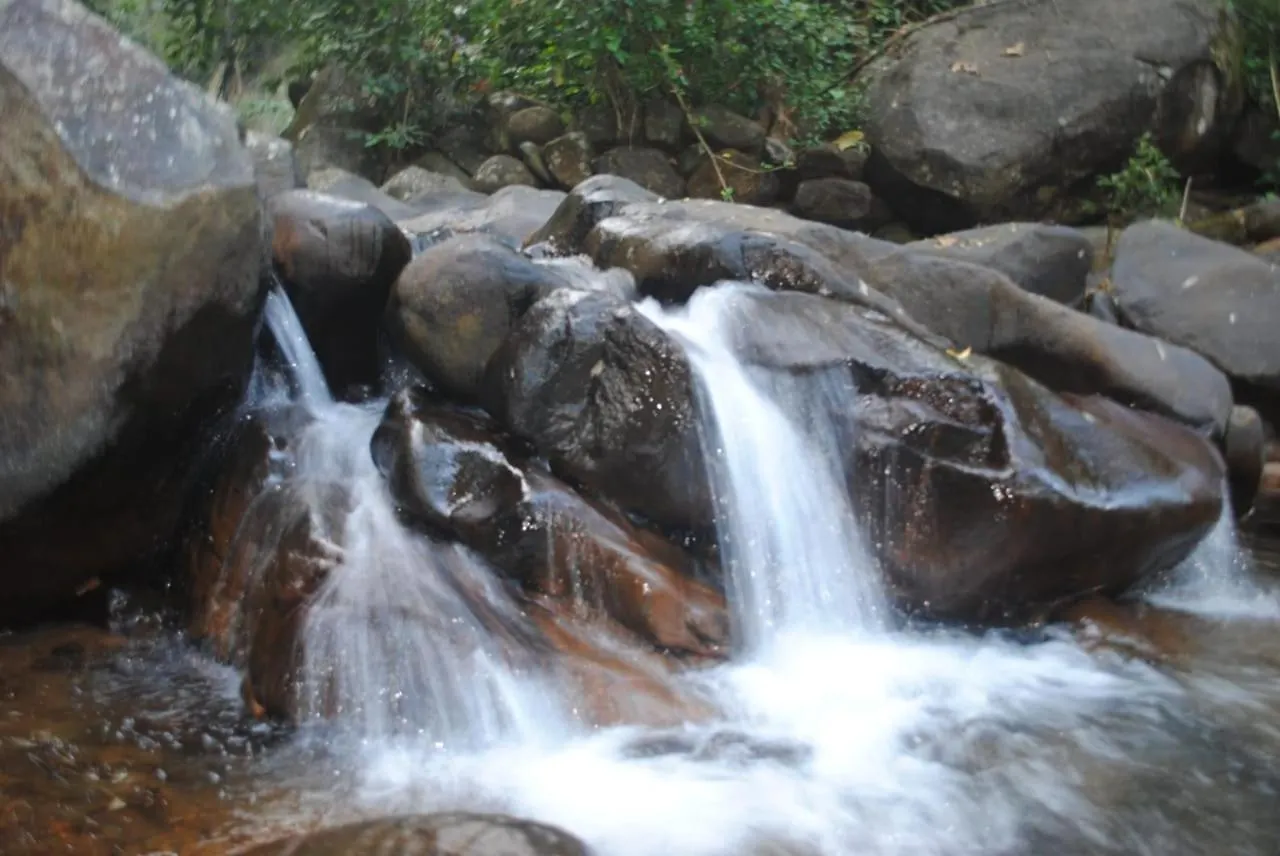 Cascade Holiday Villa Padinjarathara 인도