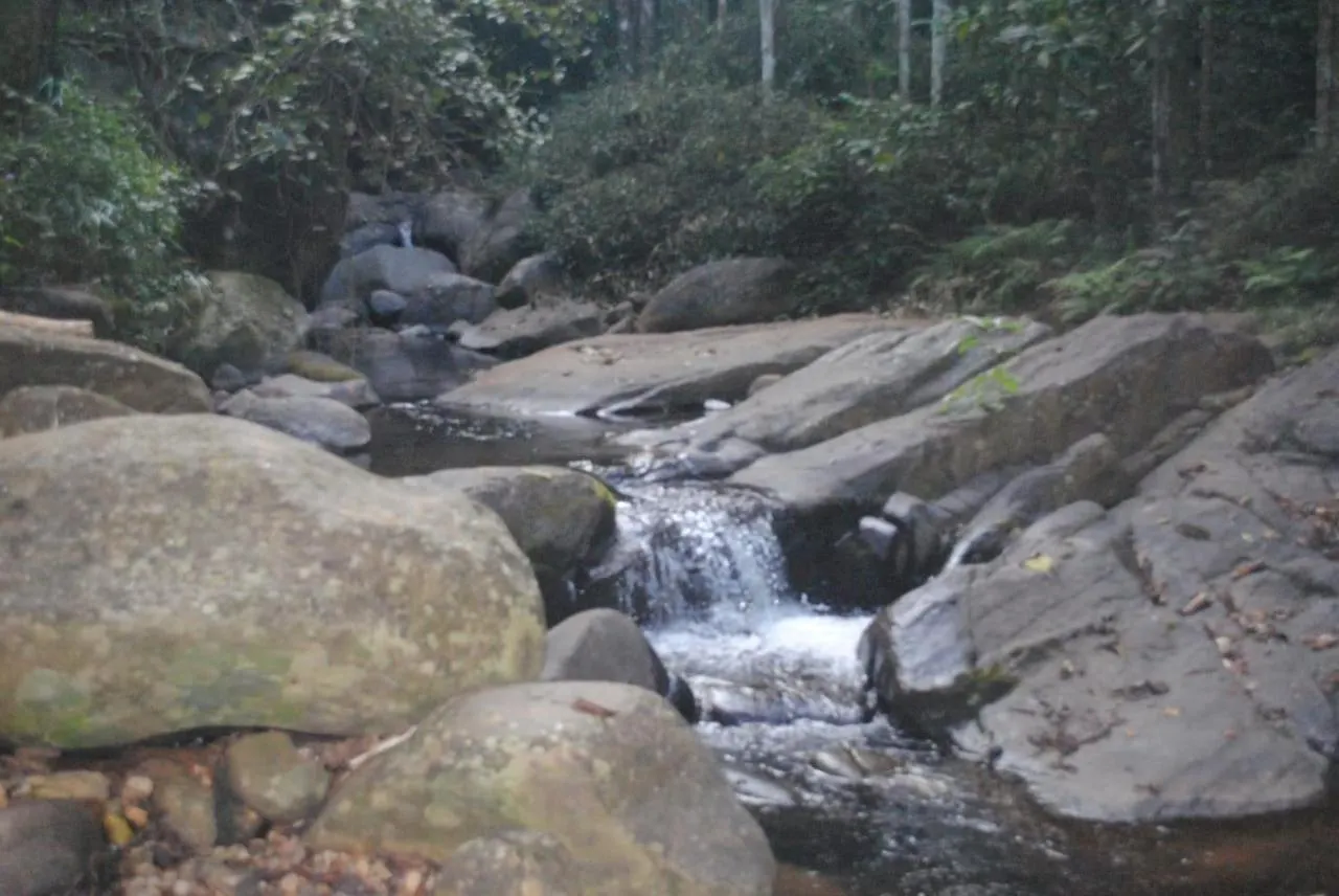 Cascade Holiday Villa Padinjarathara
