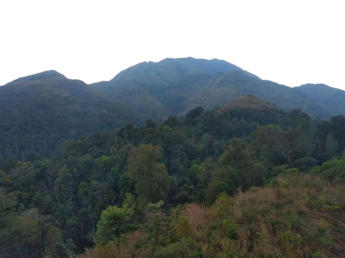 Cascade Holiday Villa Padinjarathara
