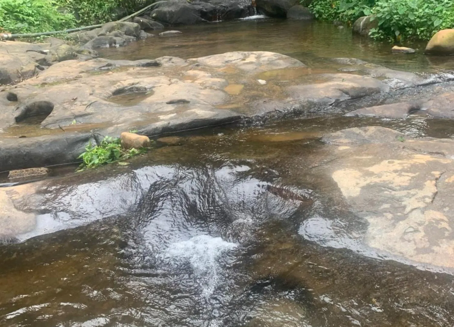 Cascade Holiday Villa Padinjarathara