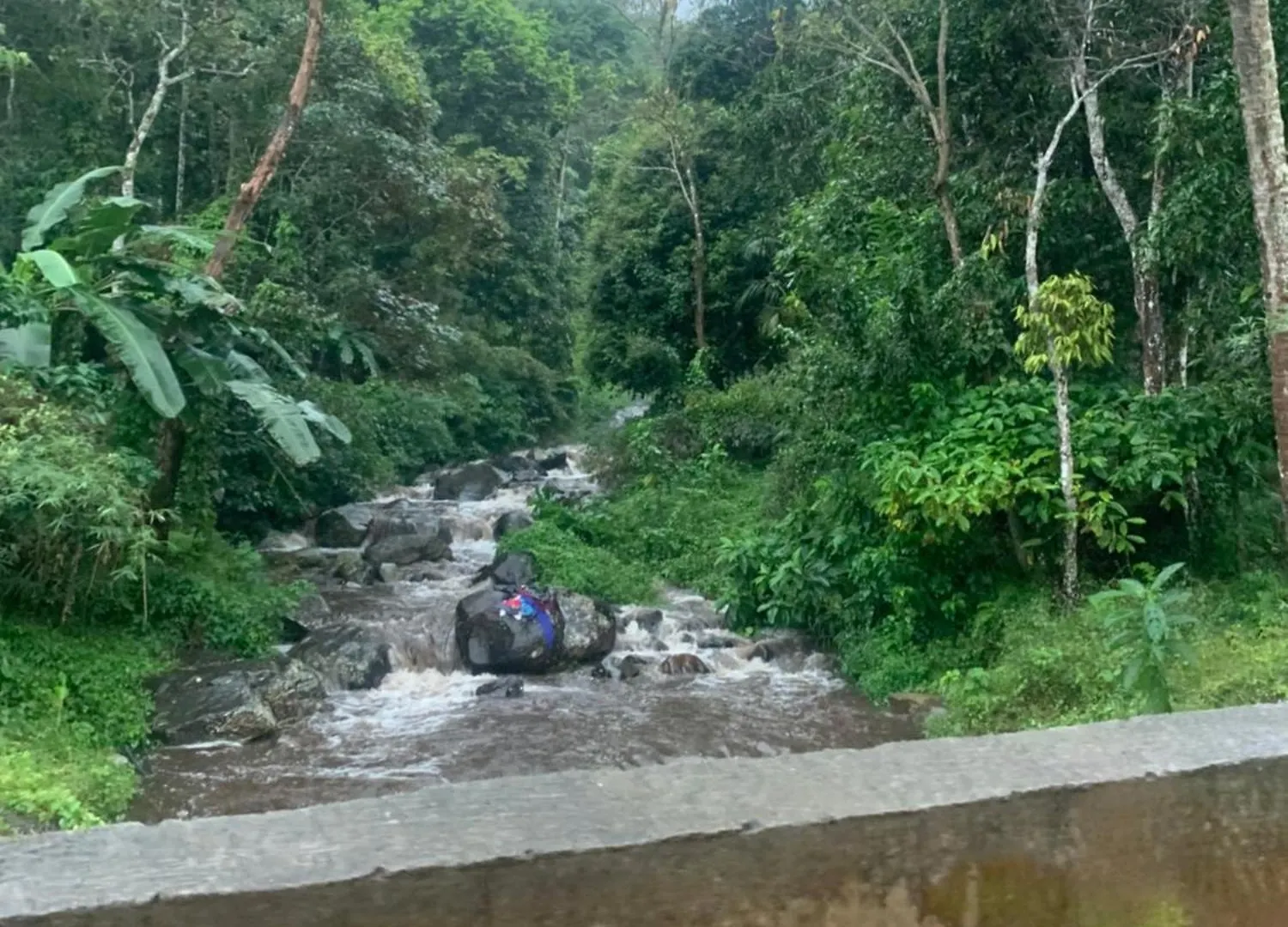 Cascade Holiday Villa Padinjarathara