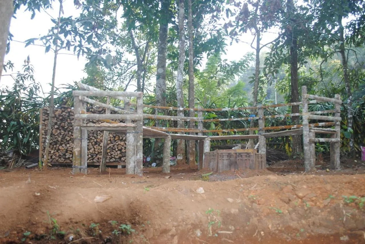 Cascade Holiday Villa Padinjarathara