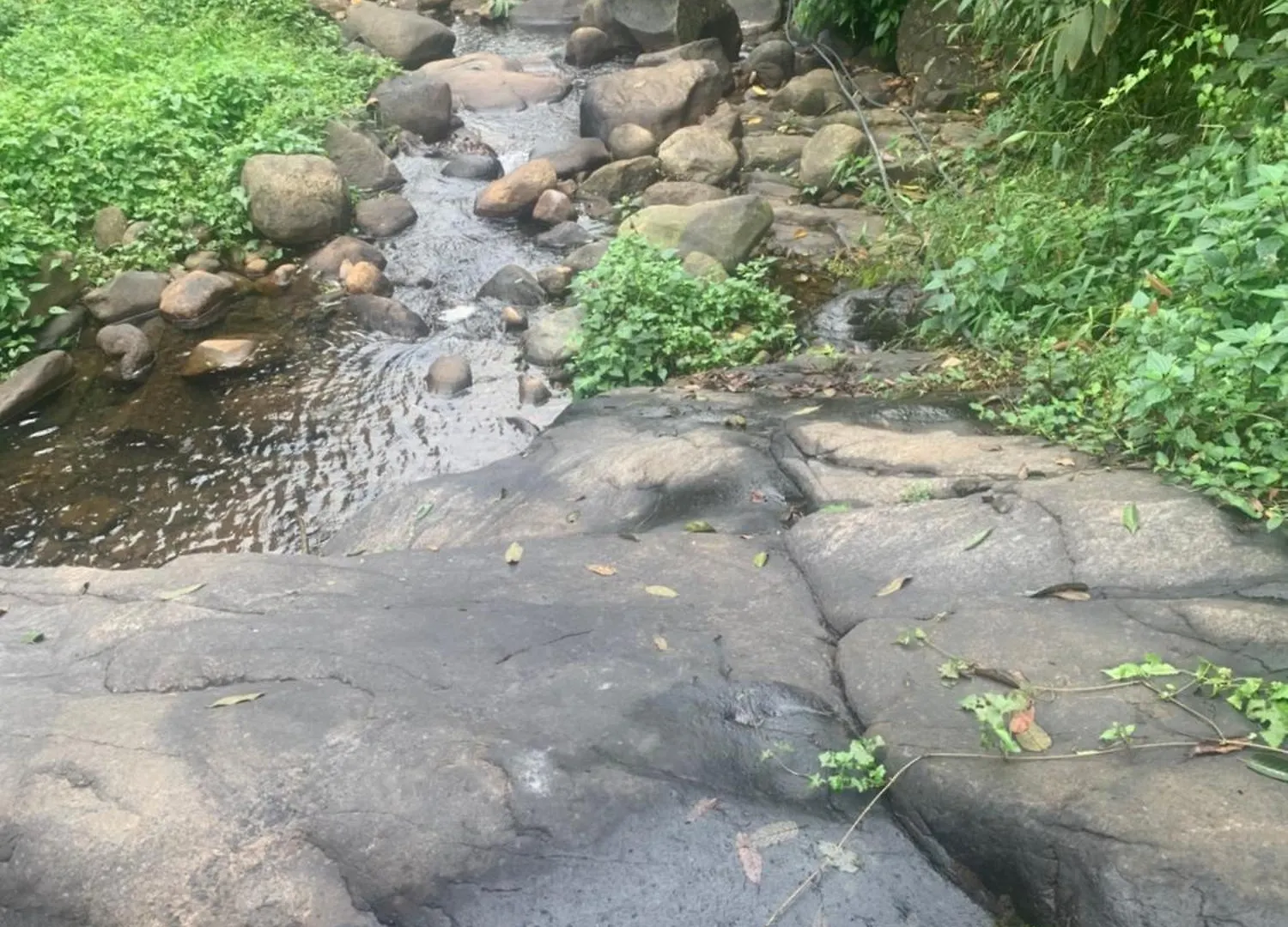 Cascade Holiday Villa Padinjarathara